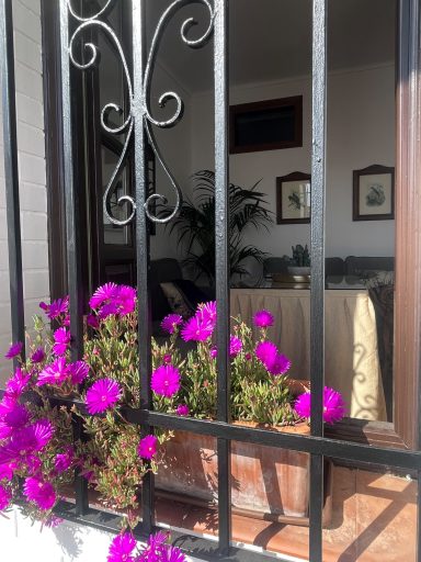 Ventana con rejas, flores moradas afuera y un interior decorado con plantas y cuadros.