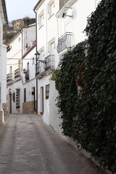 Calle estrecha flanqueada por casas blancas y vegetación en una tranquila aldea.