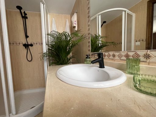Baño con ducha, lavabo blanco y planta decorativa en un ambiente luminoso y acogedor.